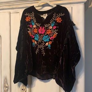 Ivy Jane Crushed Velvet Embroidered Blouse